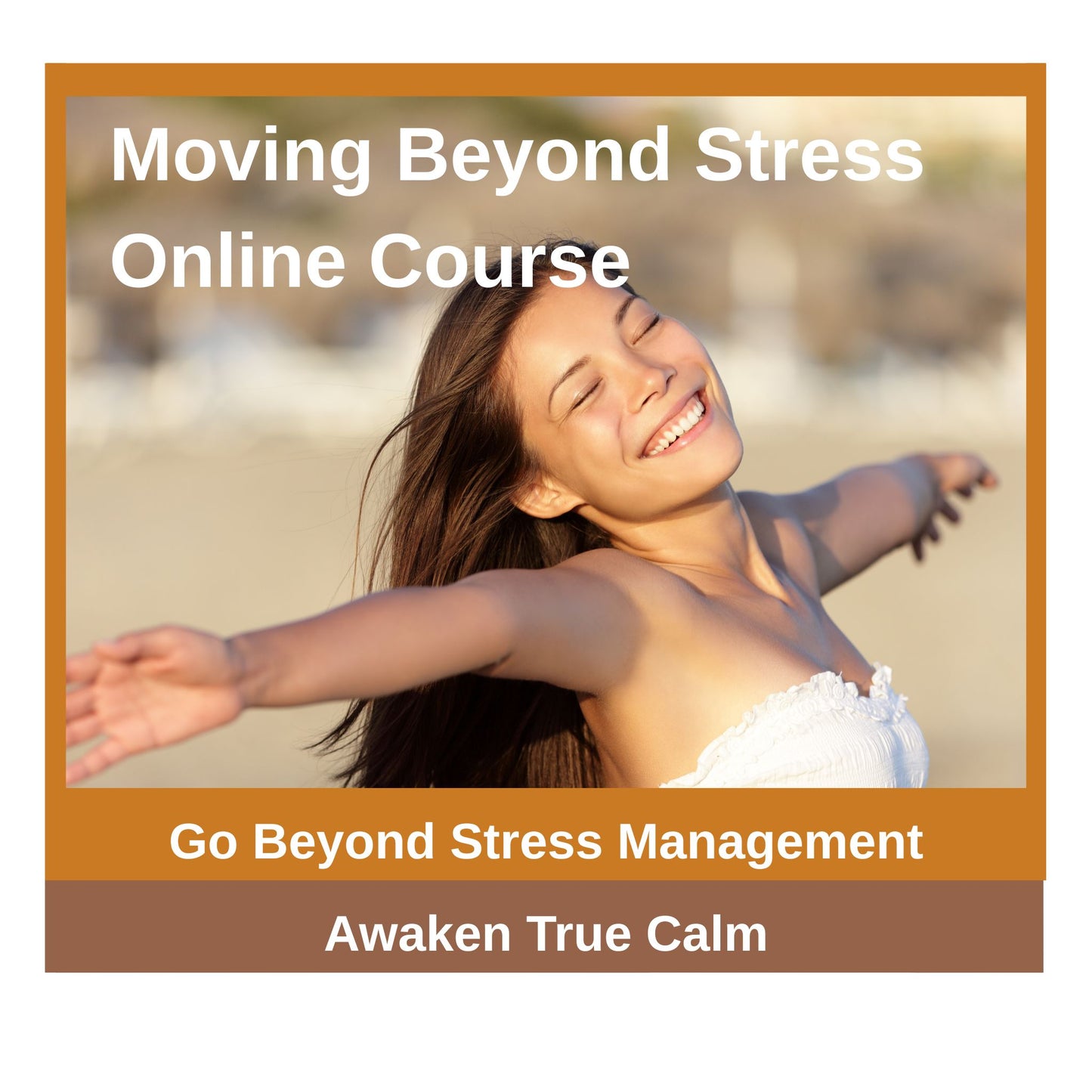 Moving Beyond Stress